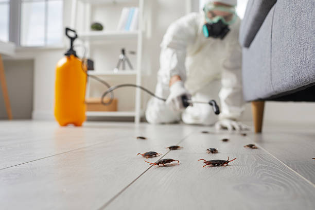 Commercial Kitchen Cockroach Control in Wallburg
